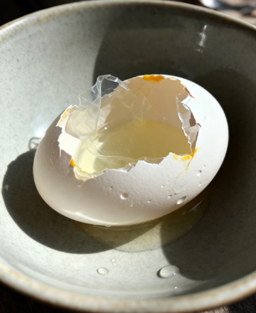 合規(guī)適配！雞蛋藥物殘留檢測(cè)儀符合國(guó)標(biāo)檢測(cè)標(biāo)準(zhǔn)