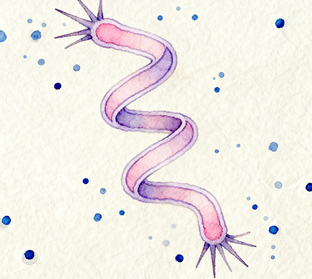 重磅發(fā)布！LD-ATP微生物細(xì)菌檢測(cè)儀升級(jí) 3.5 英寸觸摸屏，檢測(cè)效率再翻倍